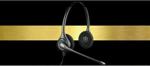 Image result for Thin Gold Line Headset