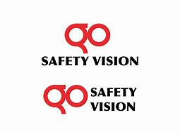 Image result for 20 20 Safety Vision Logos