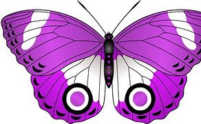 Image result for Pioneer Clip Art