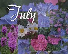Image result for July Garden Poems