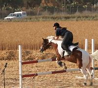 Image result for Horse Ride