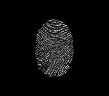 Image result for Fingerprint HD Wallpaper