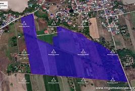 Image result for 20 Hectares of Land