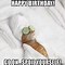 Image result for Happy Birthday Ugly Cat Meme