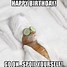 Image result for Happy Birthday Sister Funny Meme Cat