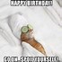 Image result for Funny Cat Meme Fbirthday