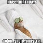 Image result for The Dark Humor Birthday Cat Meme