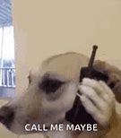 Image result for Call Me Maybe Meme