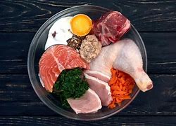 Image result for Raw Diet for Pit Bulls