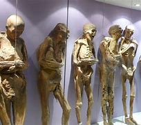 Image result for Minerals Make Mummies Mexico