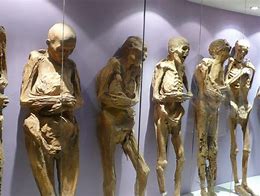 Image result for Mummified Female Remains