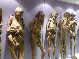 Image result for Guanajuato Mummies Cemetary