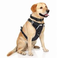 Image result for Adjustable Dog Harness