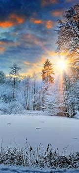 Image result for Winter Wallpaper for iPhone 14
