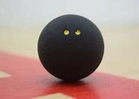 Image result for Double Dots Squash Ball