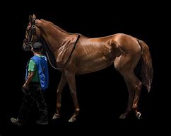 Image result for Thoroughbred Tattoo Chart