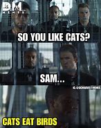 Image result for Black Panther Animal Memes