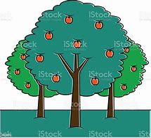 Image result for Lodi Apple Tree