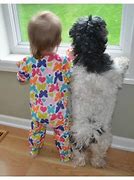 Image result for Funny Kids and Pets