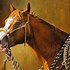 Image result for Western Horse Art Prints
