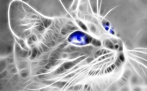 Image result for Best 3D Desktop Cat