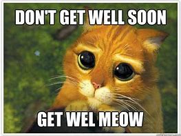 Image result for Get Well Soon Meme