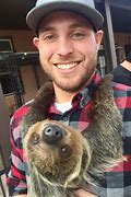 Image result for Funny Sloth Wallpaper