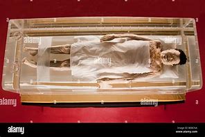 Image result for Chinese Mummy Lady Dai