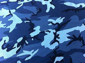 Image result for Sky Blue Camouflage