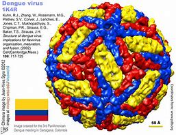 Image result for State Colors for Virus