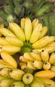 Image result for Apple Banana Crossbreed