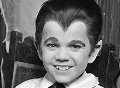 Image result for Butch Patrick as a Young Man