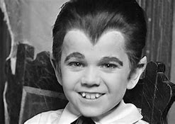 Image result for Butch Patrick House