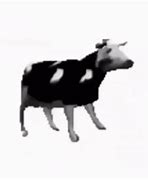 Image result for Dancing Polish Cow Meme