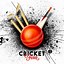 Image result for Cricket Poster India