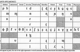 Image result for IPA Consonants
