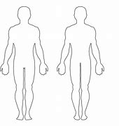 Image result for Human Body Outline Side