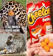 Image result for Cheetos Cheetah Meme