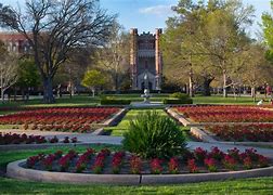Image result for University of Oklahoma