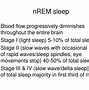 Image result for Sleep Brain