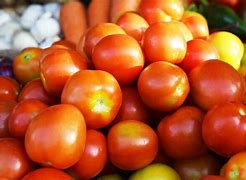 Image result for Tomato