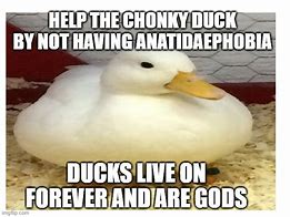 Image result for Chonky Duck