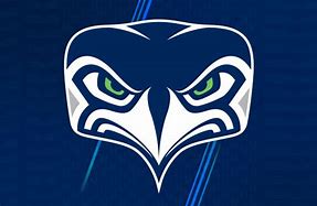 Image result for Seahawks Alternate Logo