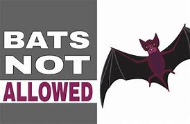 Image result for Bats Control