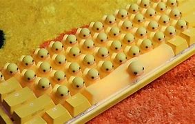 Image result for Esy Things to Play On a Key Board