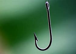 Image result for Fish Hook Keychain