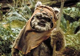 Image result for Ewok Pics