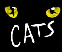 Image result for Cats Series Sony TV Old