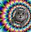Image result for Trippy Black Cat Backgrounds