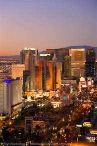 Image result for Las Vegas Strip Wild